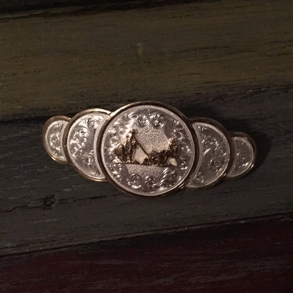 Montana Silversmith hair clip